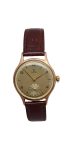 A Watch in Time